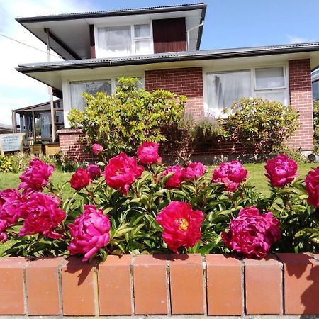Airport Silver Fern Accommodation Christchurch Bagian luar foto