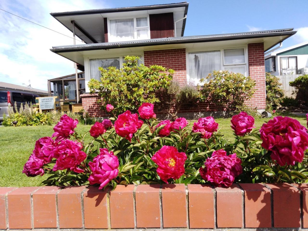Airport Silver Fern Accommodation Christchurch Bagian luar foto